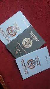 How to Obtain ECOWAS Passport in Nigeria